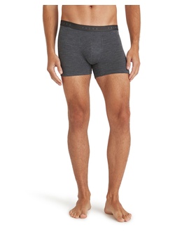 Herren Boxer Daily ClimaWool