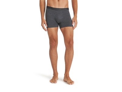 Herren Boxer Daily ClimaWool